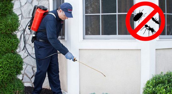 Çaldıran Kene İlaçlama böcek ilaçlama ve haşere kontrolü — ilaclama-tr.com
